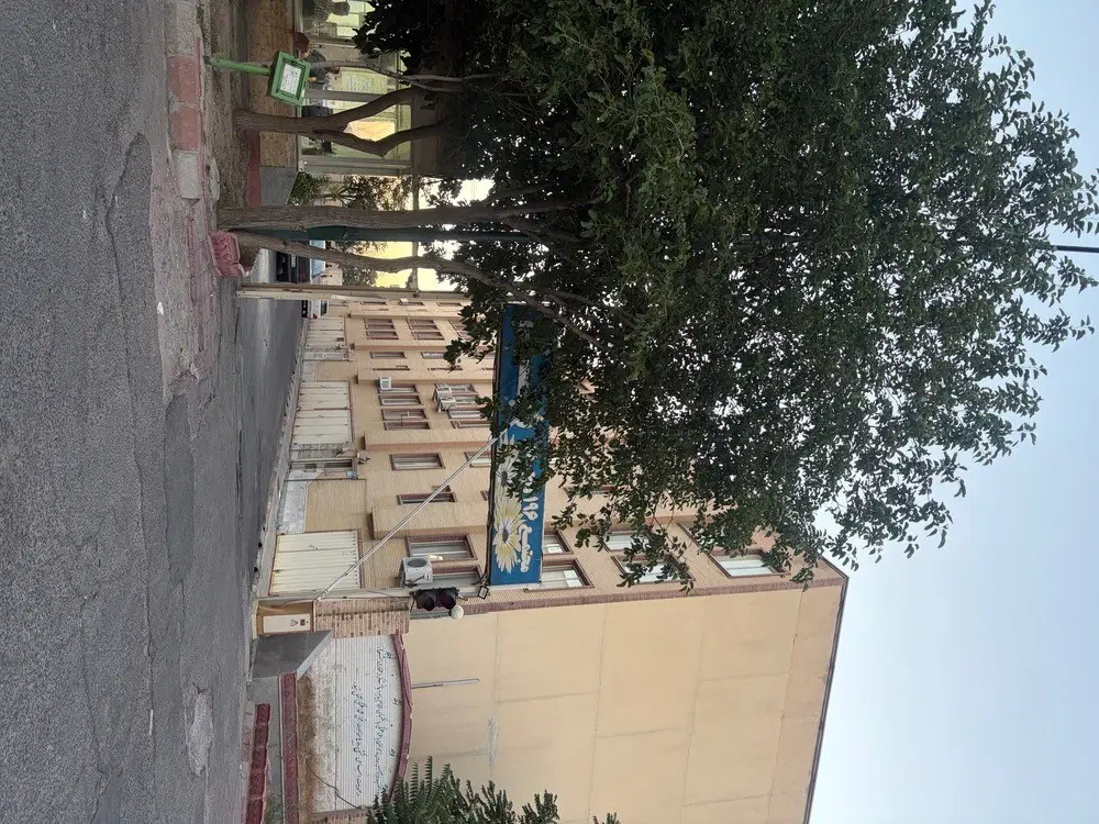 شبنم تک خوابه