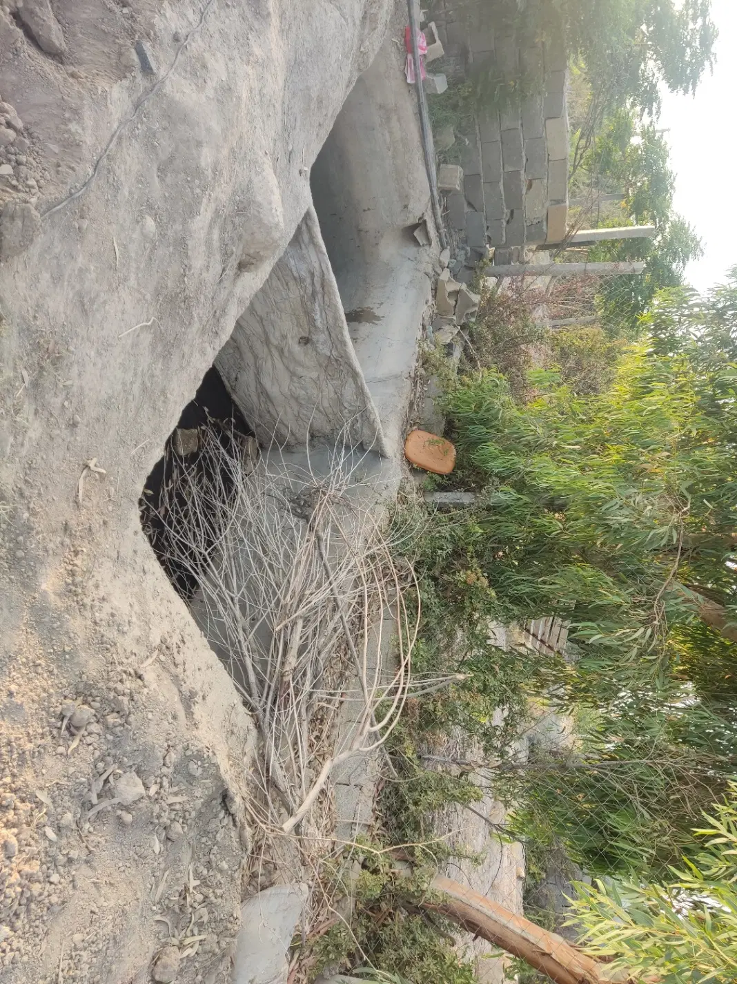 باغچه