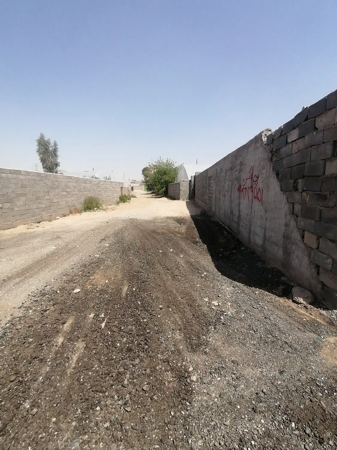 باغچه ویلا