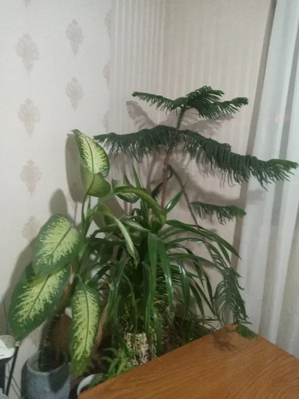 خانه ویلایی برخیابان