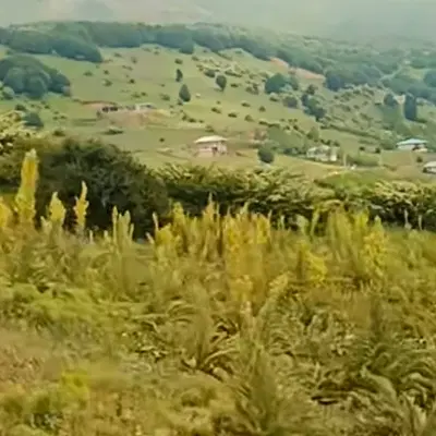 زمین مسکونی در حسننی کوهنانی