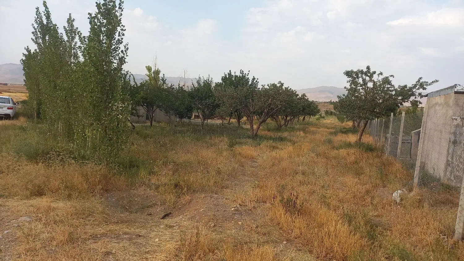 فروش زمین زراعی۱۲۰۰متری