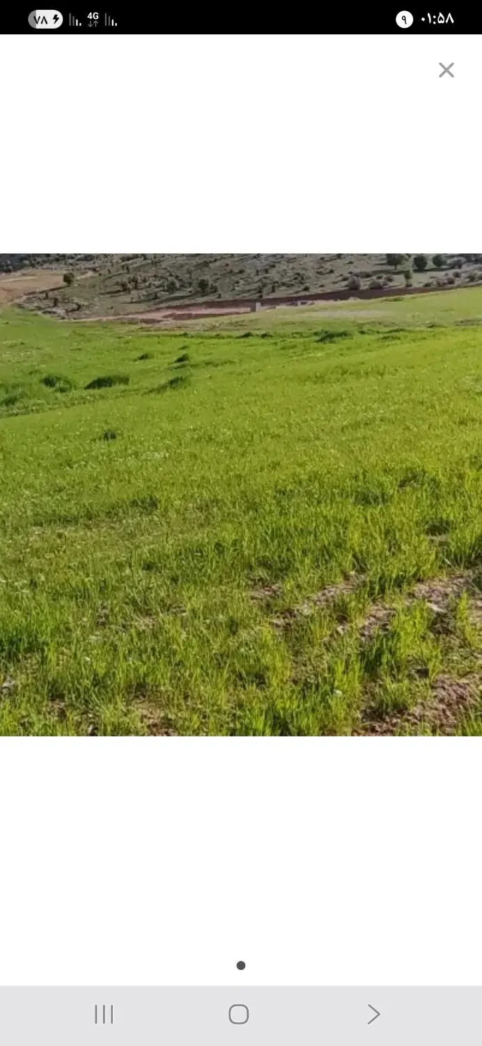 زمین خرم‌رودی
