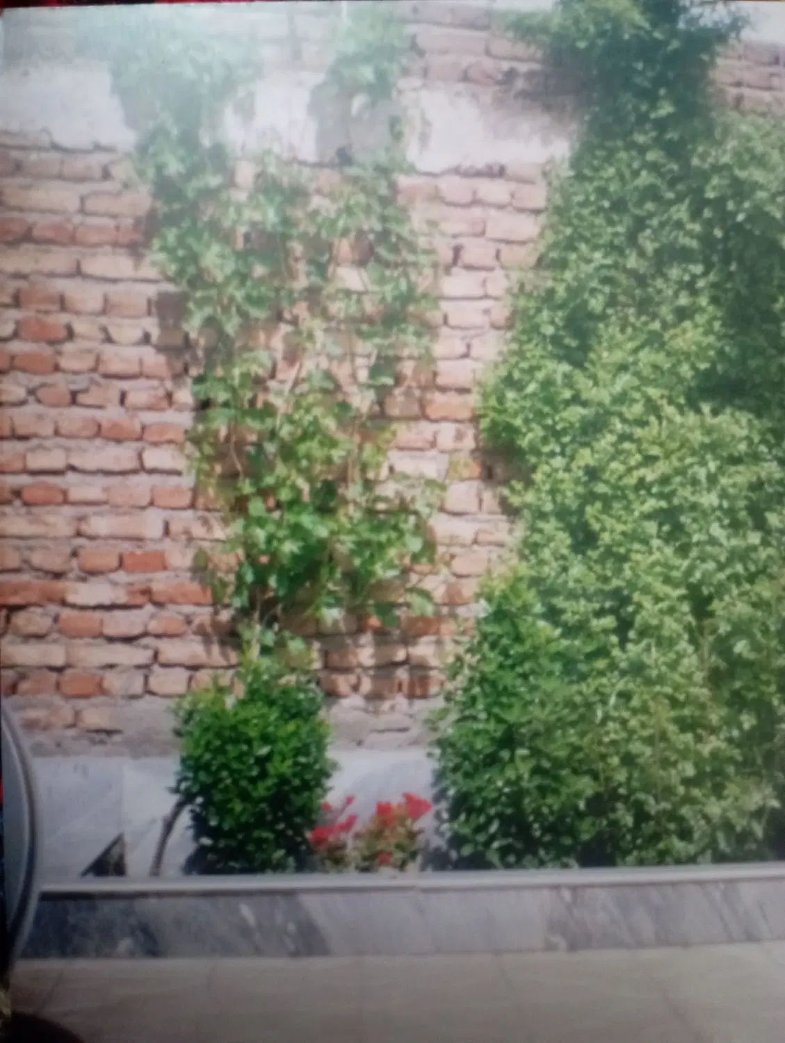اجاره خانه دو خوابه میدان امام حسین صمدی لاله فجر