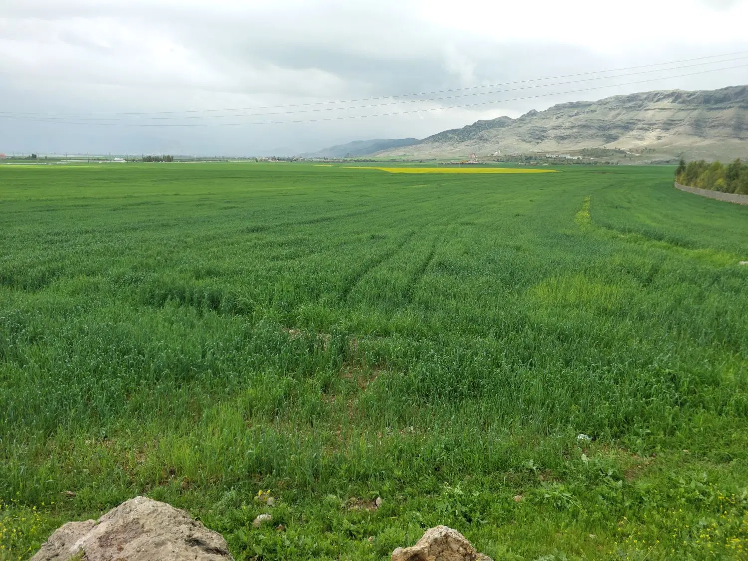 ۴۰ هزارمتر زمین کشاورزی برای اجاره