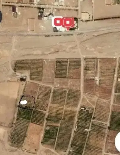 باغ انارنزدیک ساوه