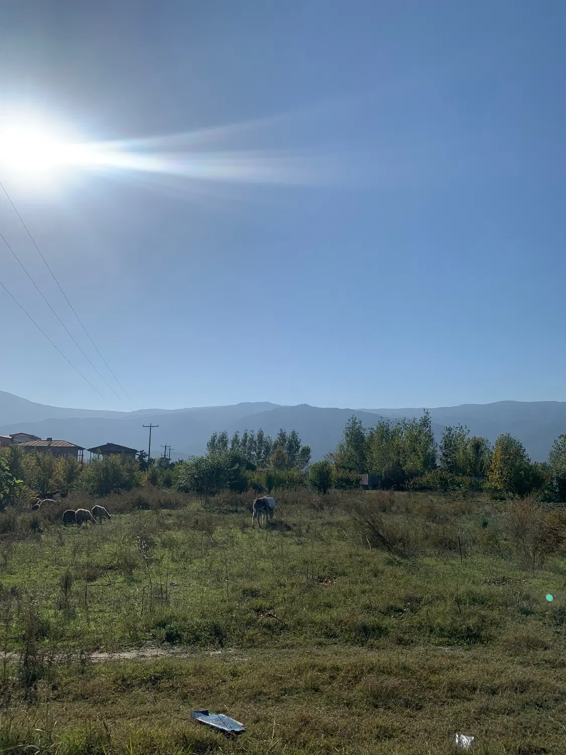 ۳۵۰متر زمین مسکونی گز شرقی