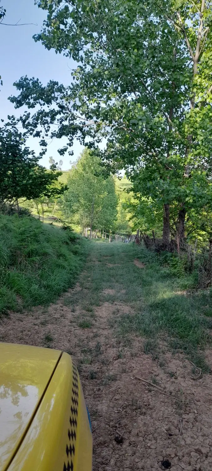 فروش زمین کشاورزی واقع در روستای افراتخته