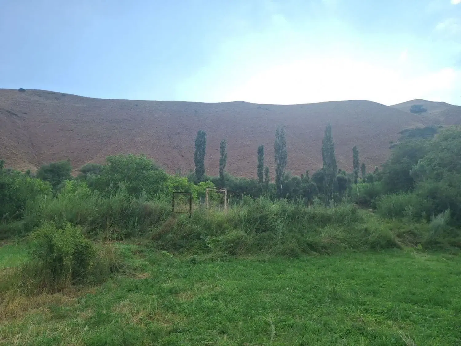 زمین کشاورزی در جوستان