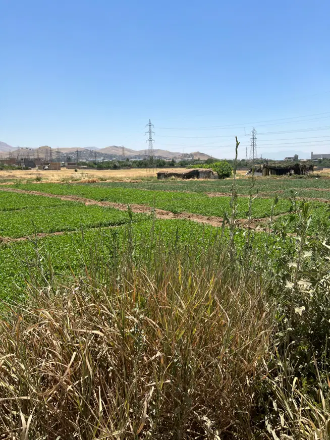 فروش زمین