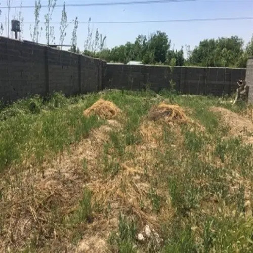زمین چهار دیواری دمزاباد