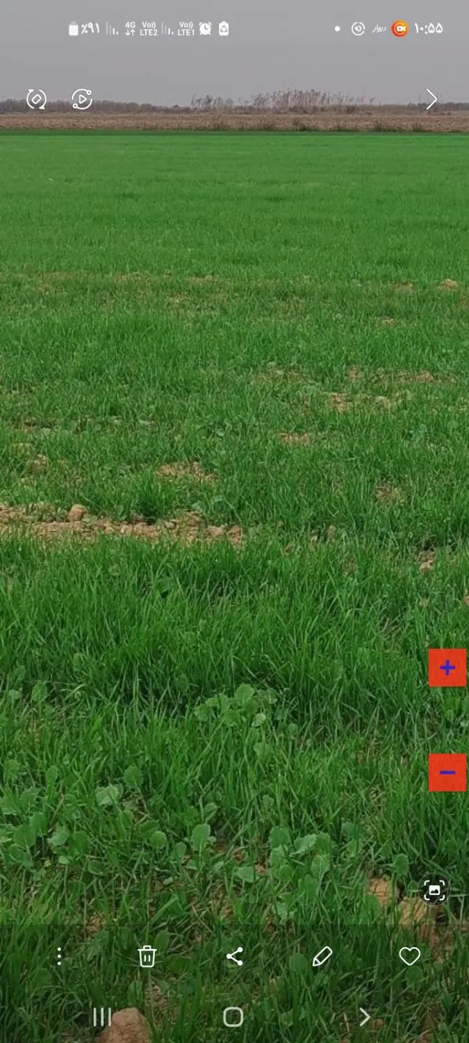 زمین ۱۰ در ۱۰ روبروی تالار آرتان سند دار