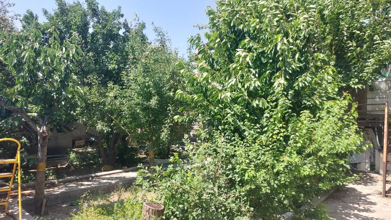 خانه ویلایی در باغ یعقوب