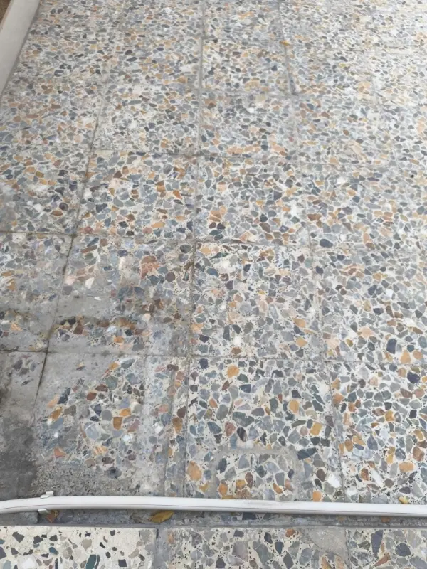 زمین شاپوری مشارکتی