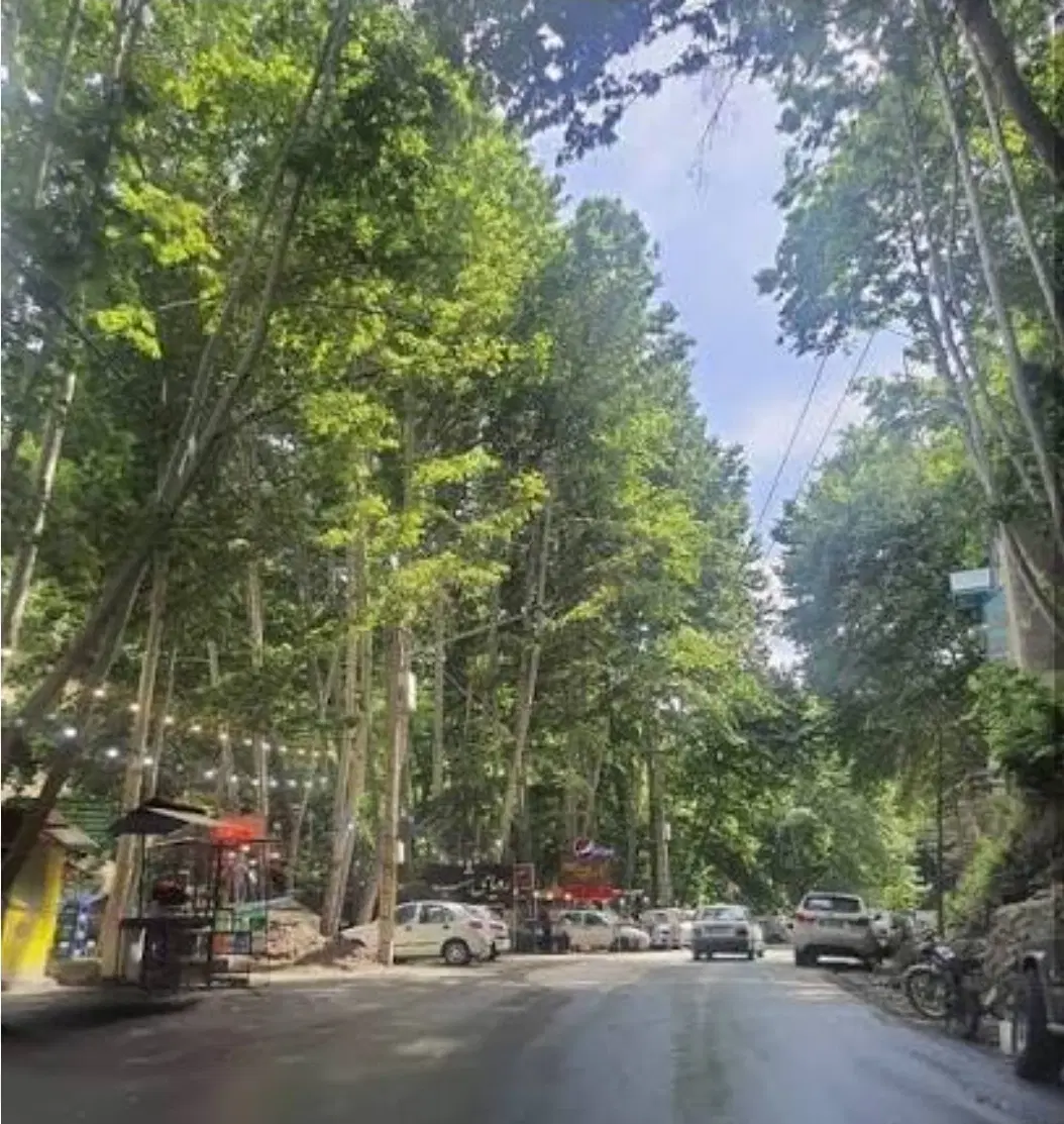 زمین ییلاق ابرده