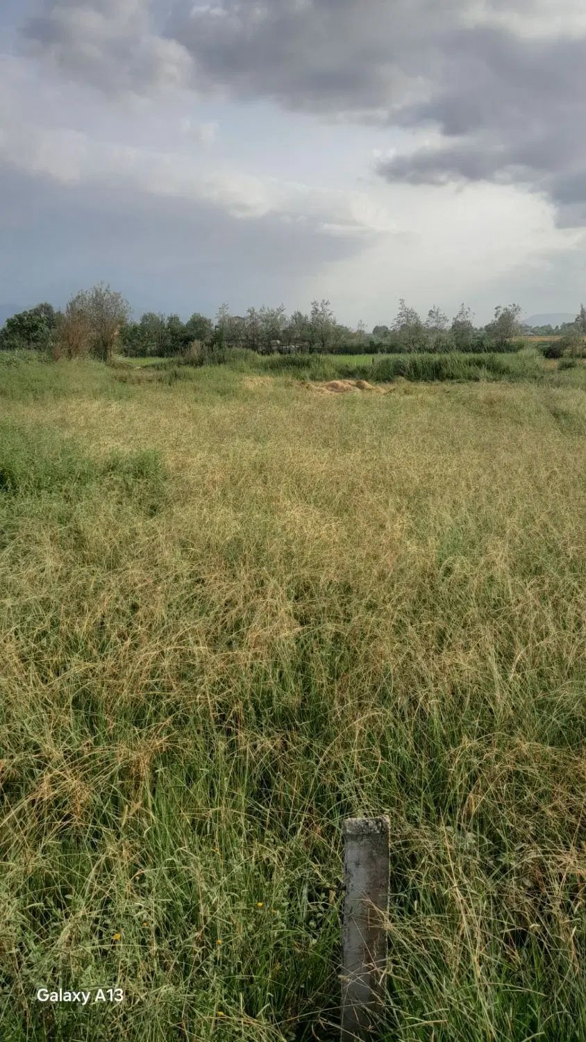فروش زمین کشاورزی( بالای ۱۰ ساله کشت نشده )