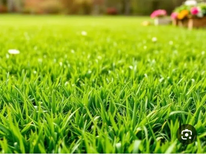 فروش فوری و فوق العاده زمین