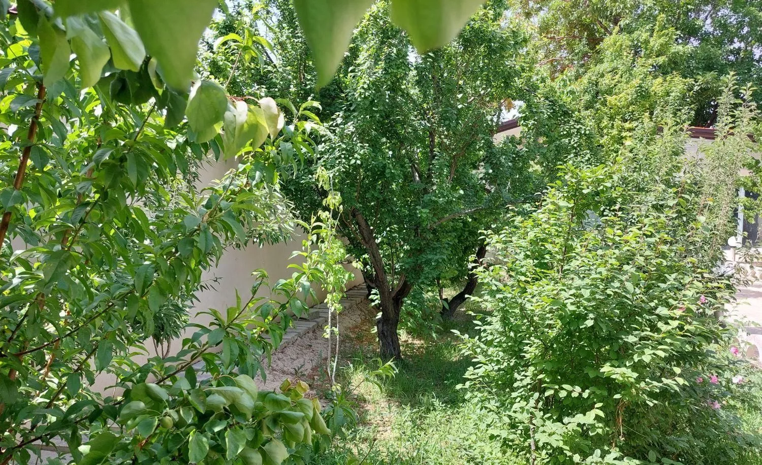 باغچه ۵۰۰ متری فول امکانات
