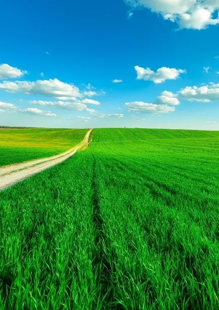 فروش زمین رودکی