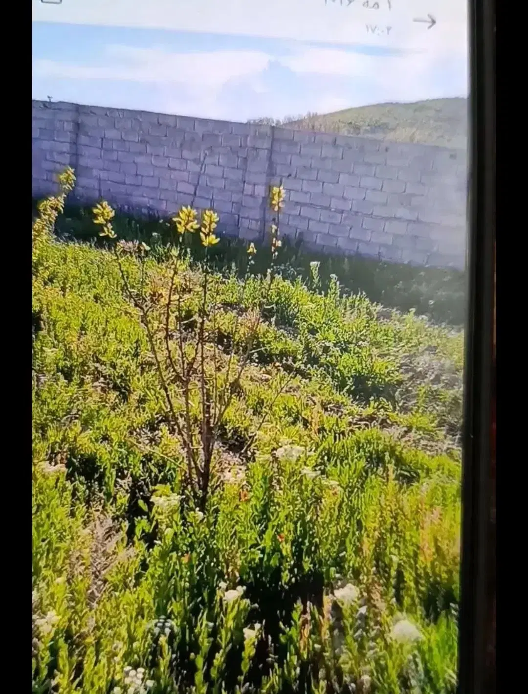 فروش یک قطعه زمین حصارشده  با تخفیف