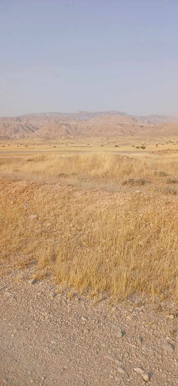 فروش یک قطعه زمین