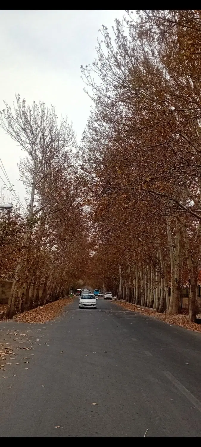 زمین مسکونی در گورک