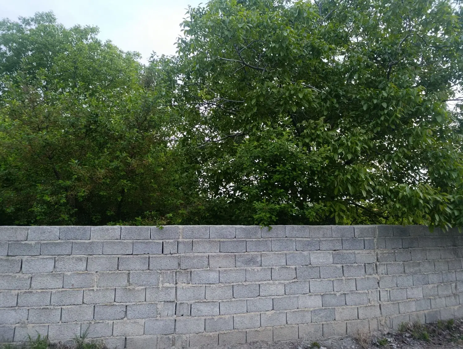 جاده شورکند باغچه الوان آب برق گاز روشن