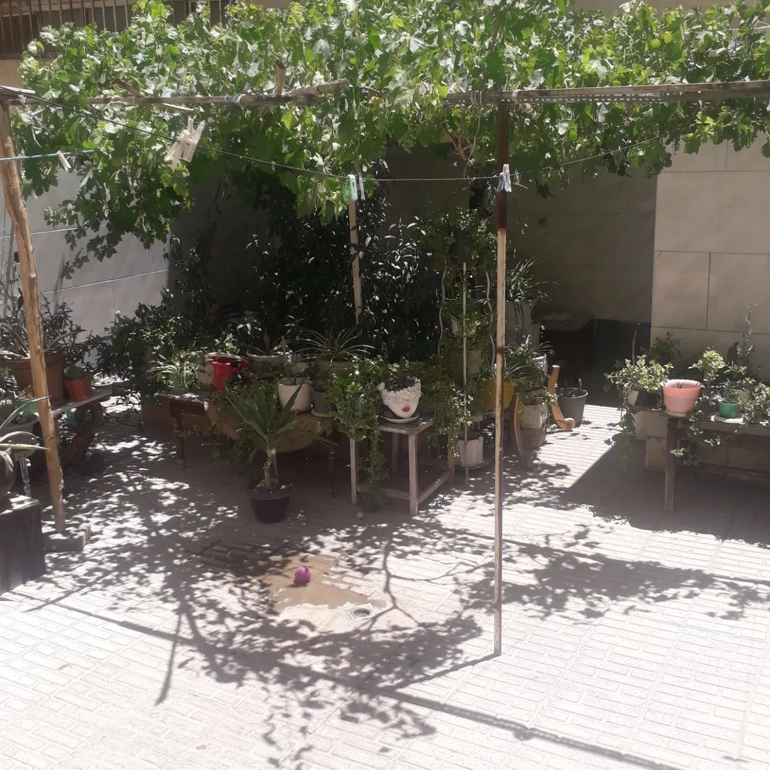 اجاره یک واحد پارگینگ   با حیاط  بزرگ