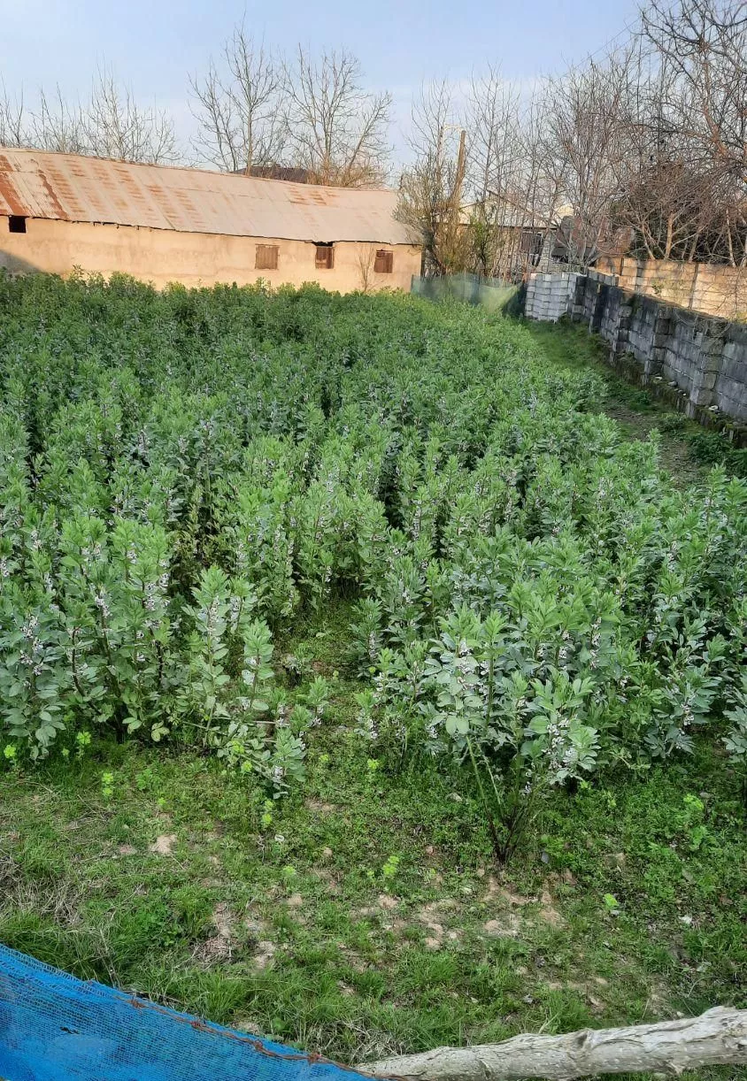 فروش زمین
