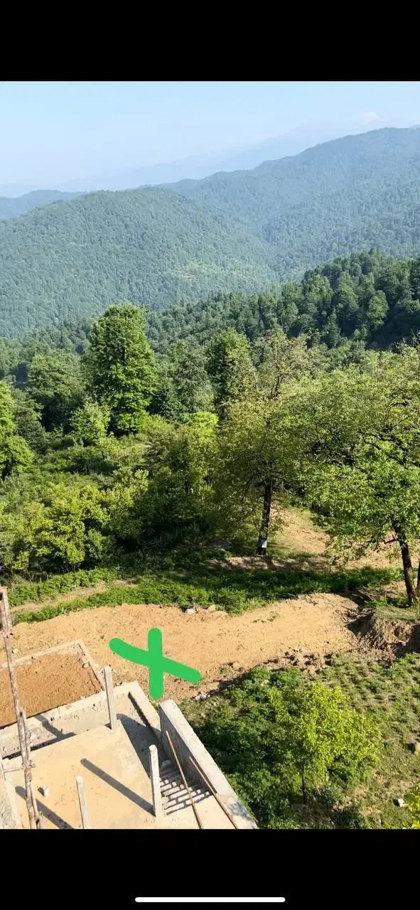 زمین جنگلی
