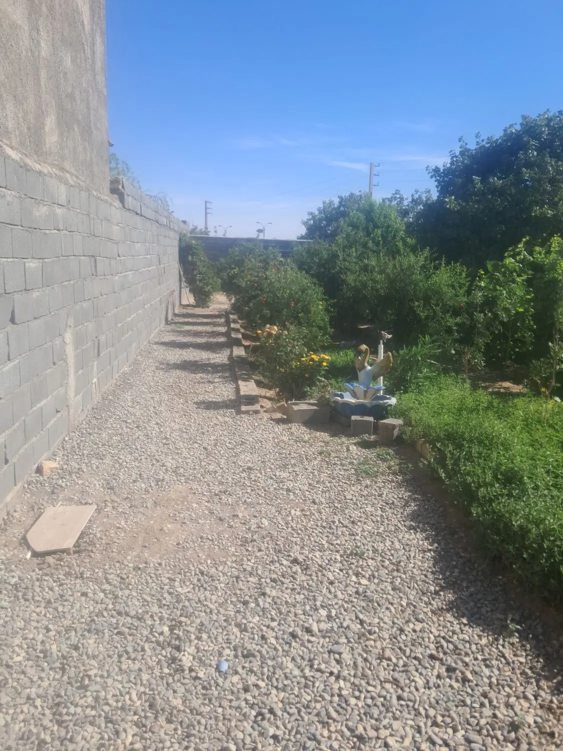 باغچه ۳۰۰ متری