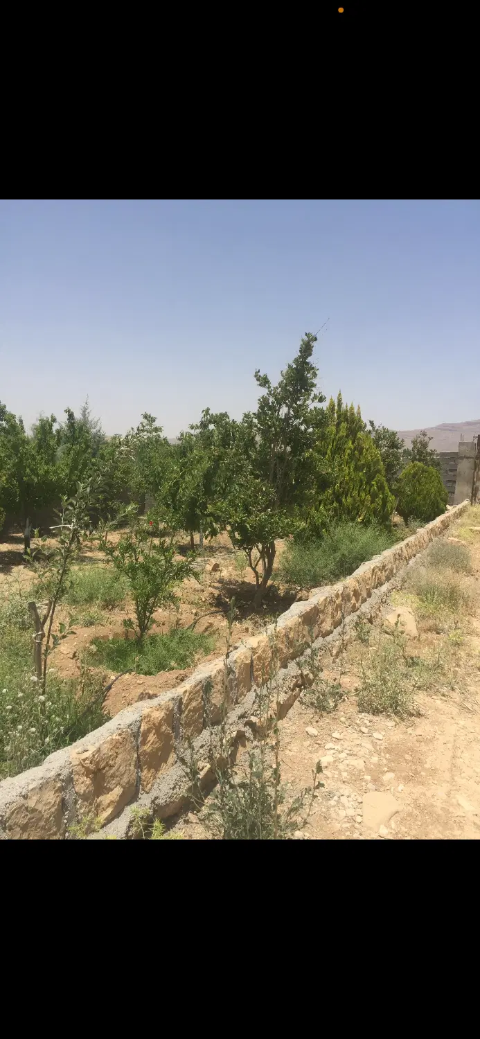 باغشهری خان زنیان قرقچین روبروی کارخانه ماکارونی