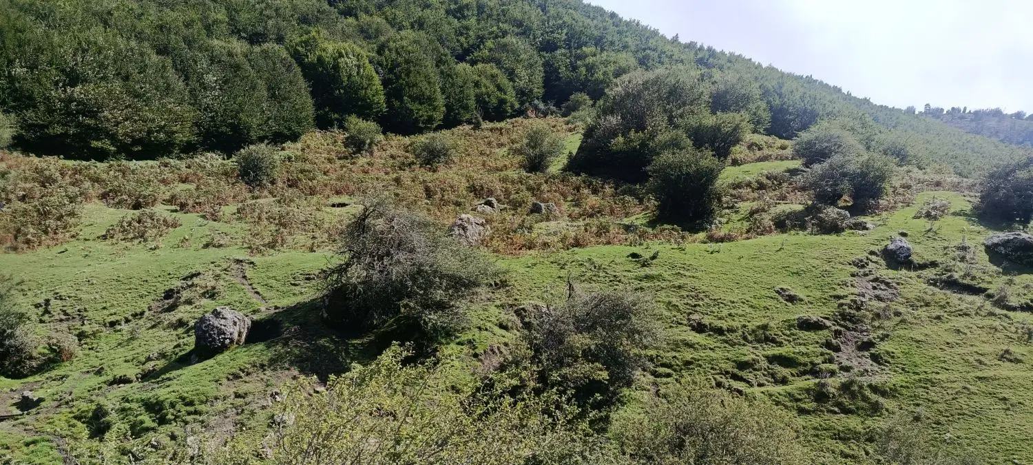 زمین 200 متری