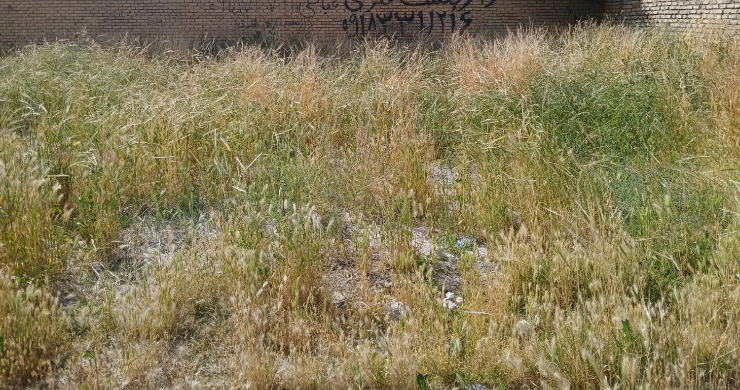 زمین فروشی