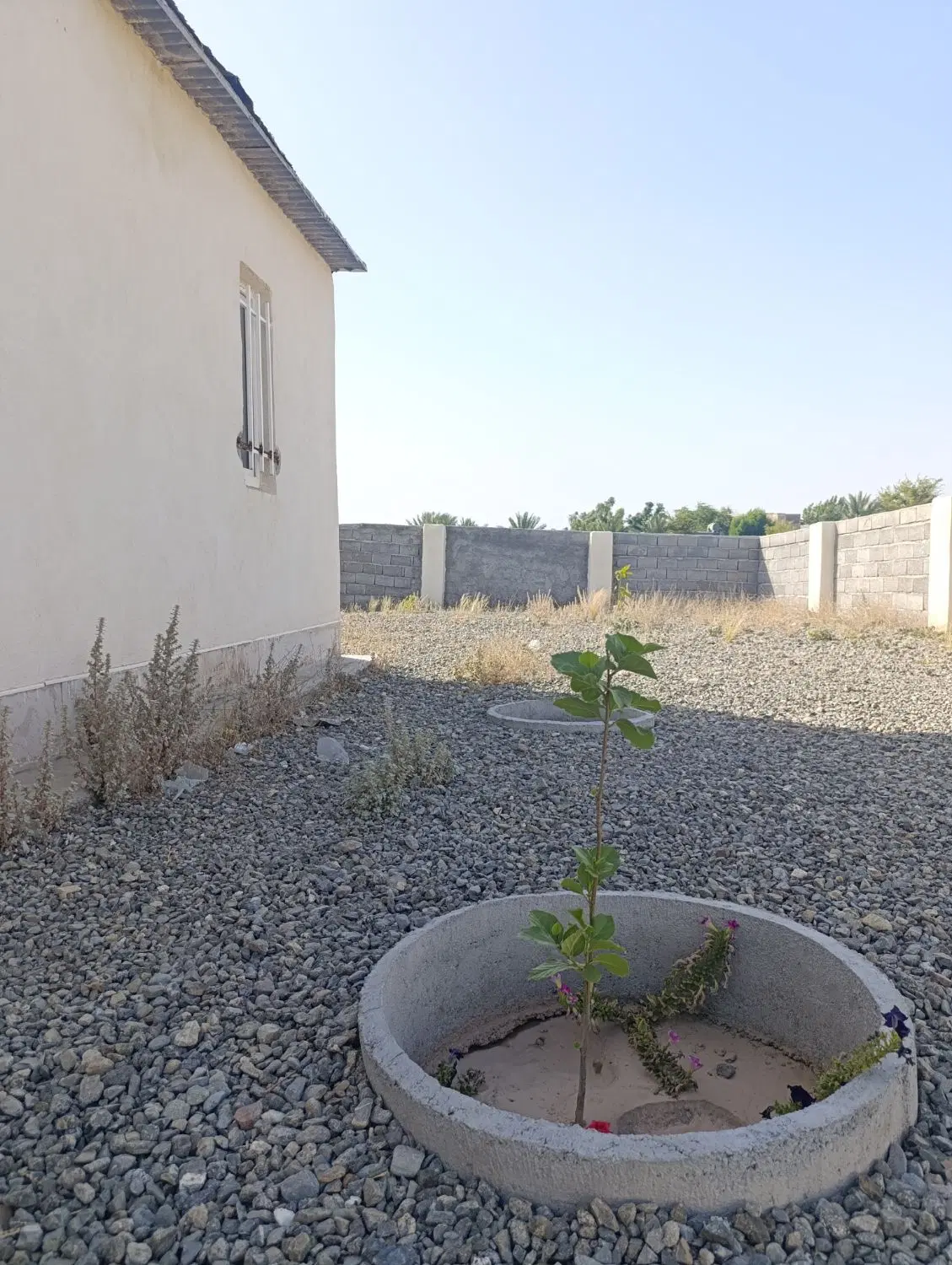 فروش خانه مسکونی محموداباد