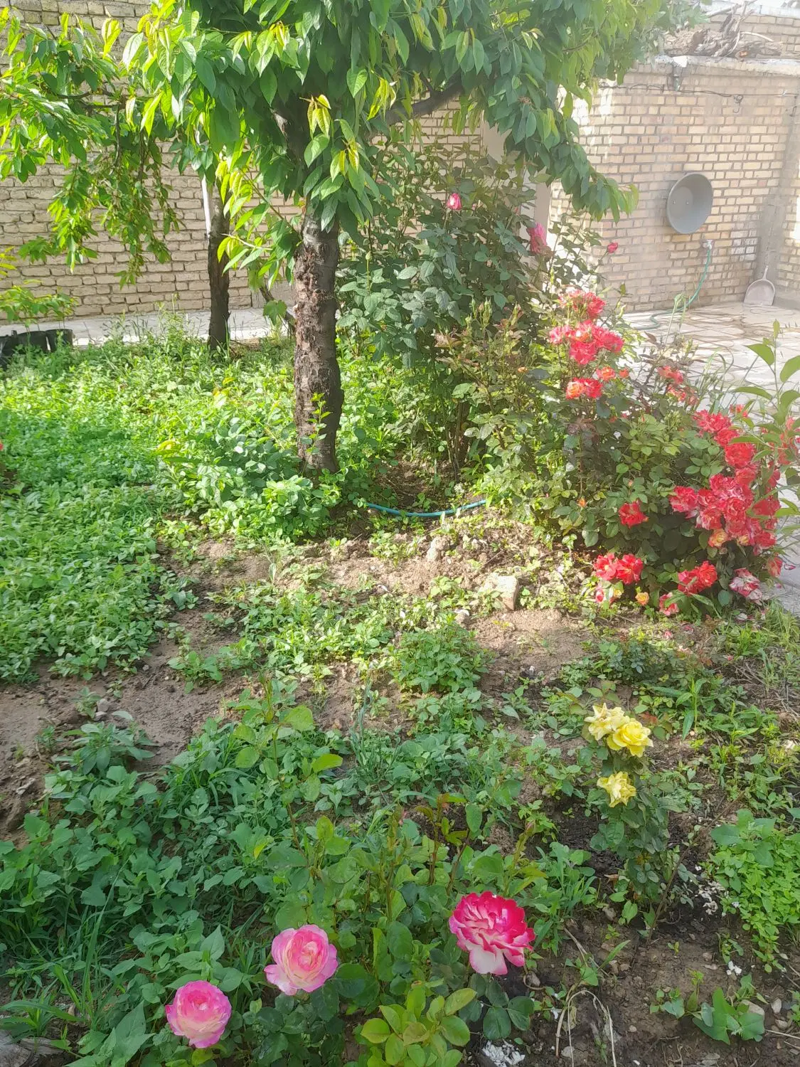 منزل ویلایی شهرک فرهنگیان
