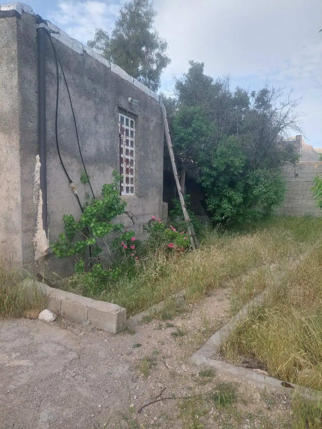 باعچه فازیک سیخ (هزارباع)