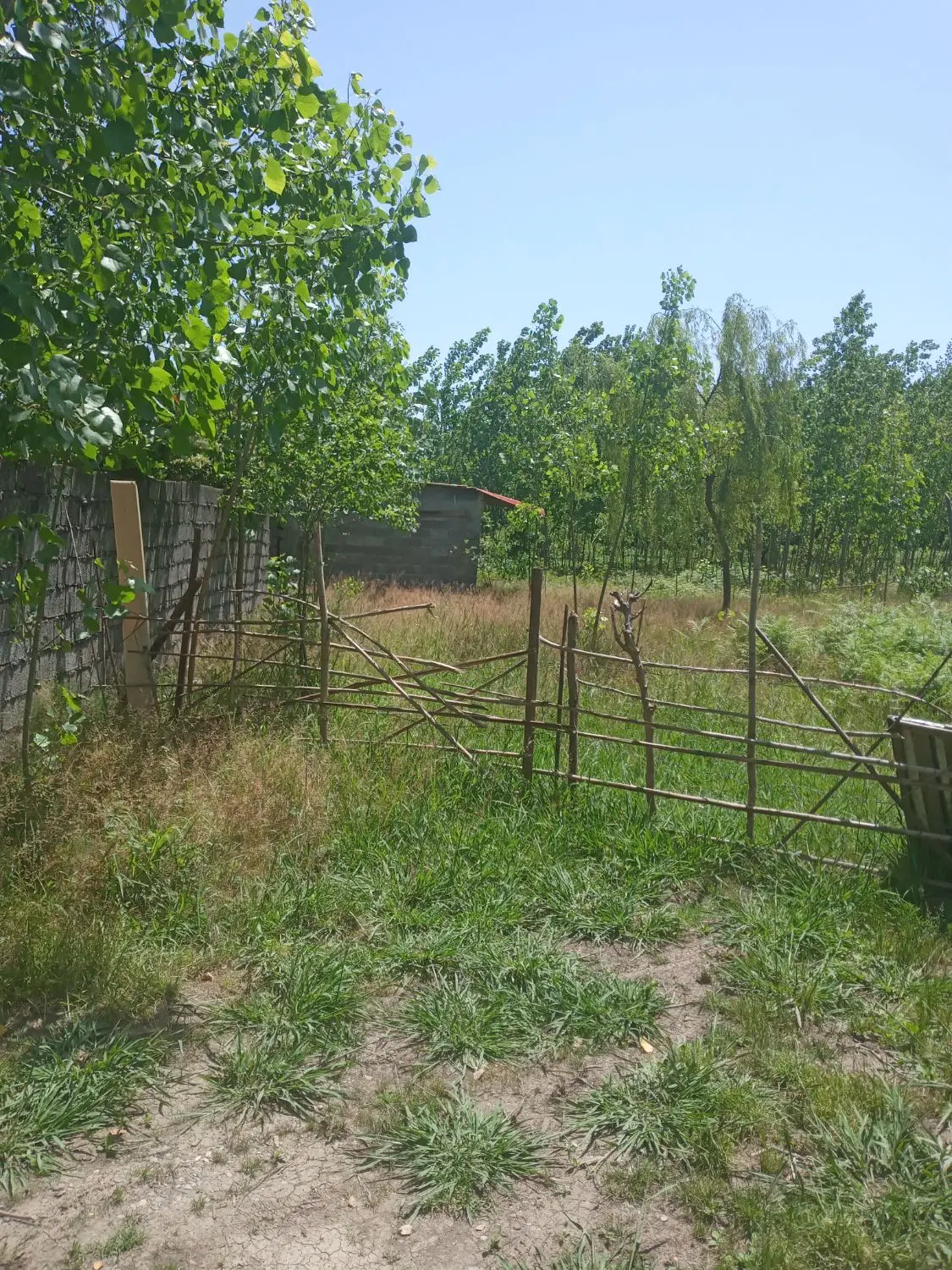 زمین مسکونی ۲۰۰ متری