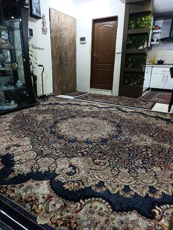 همخونه  خانم