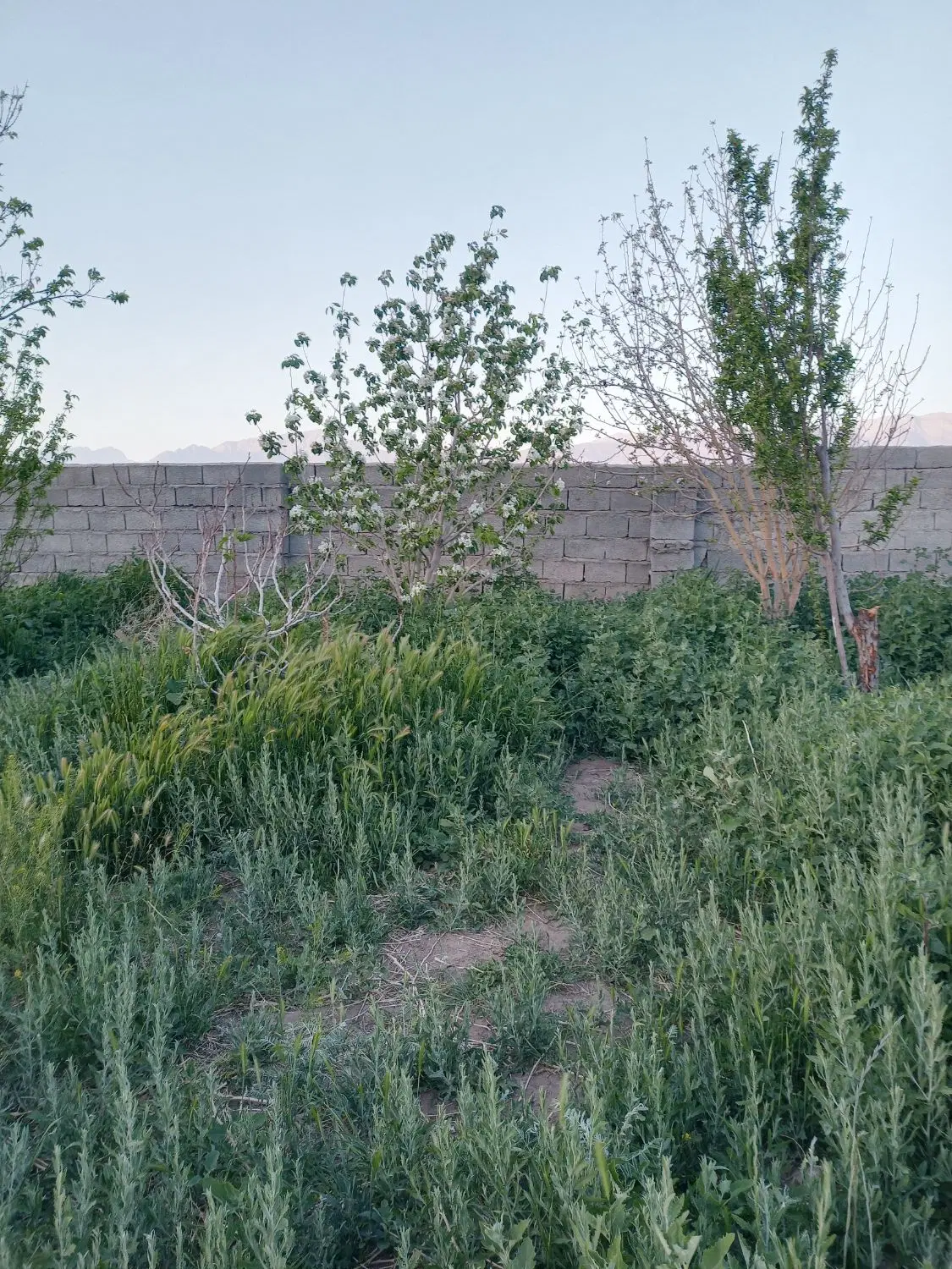 زمین مناسب‌ ویلا وباغ