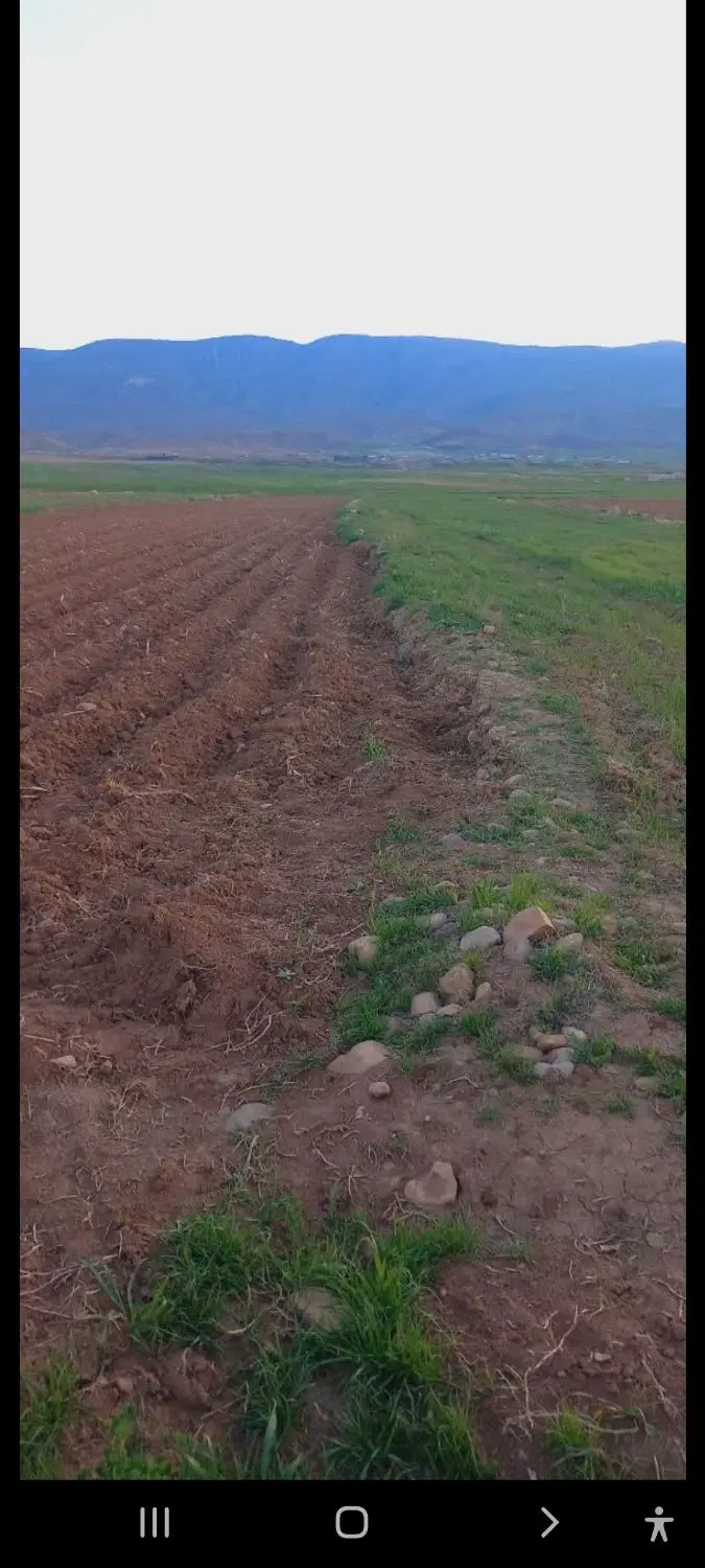 فروش ۹ هکتار زمین کشاورزی آبی مکانیزه