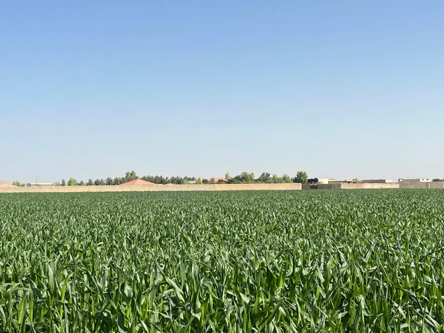 باغ چهار دیوای بران شمالی دستجا