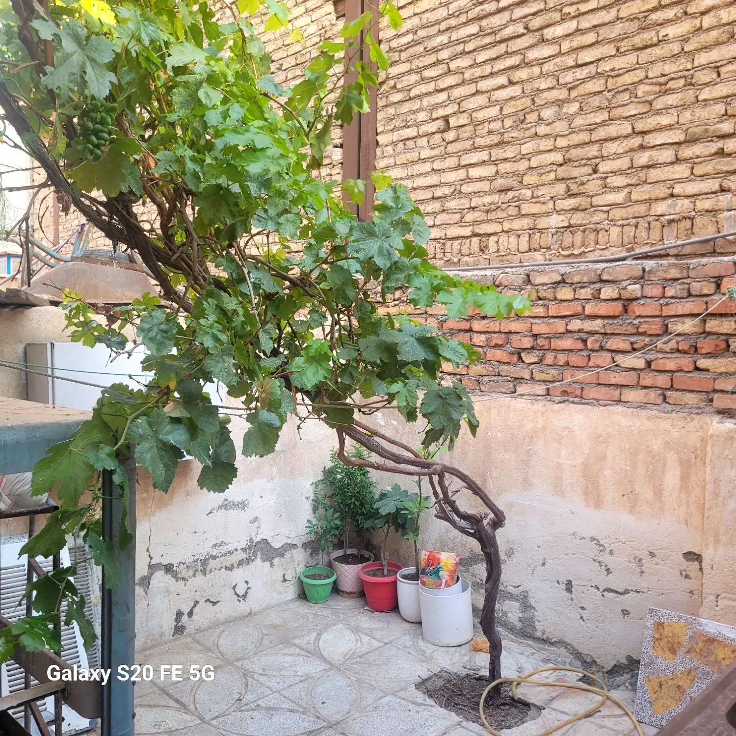 خانه ۱۰۰ متری دربست