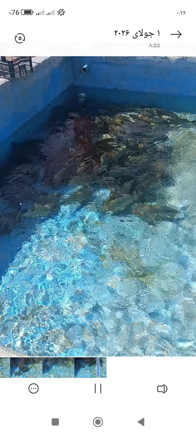اجاره زمین کشاورزی