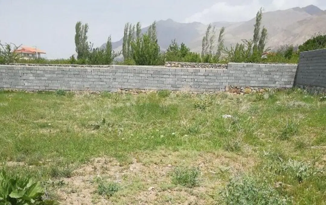 زمین باغی