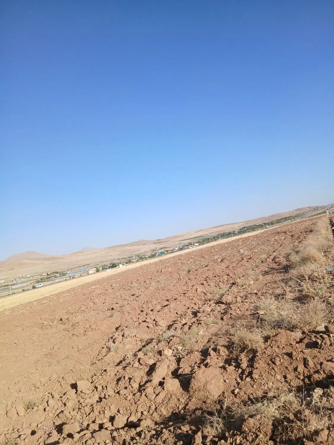 زمین دیم کشاورزی مناسب