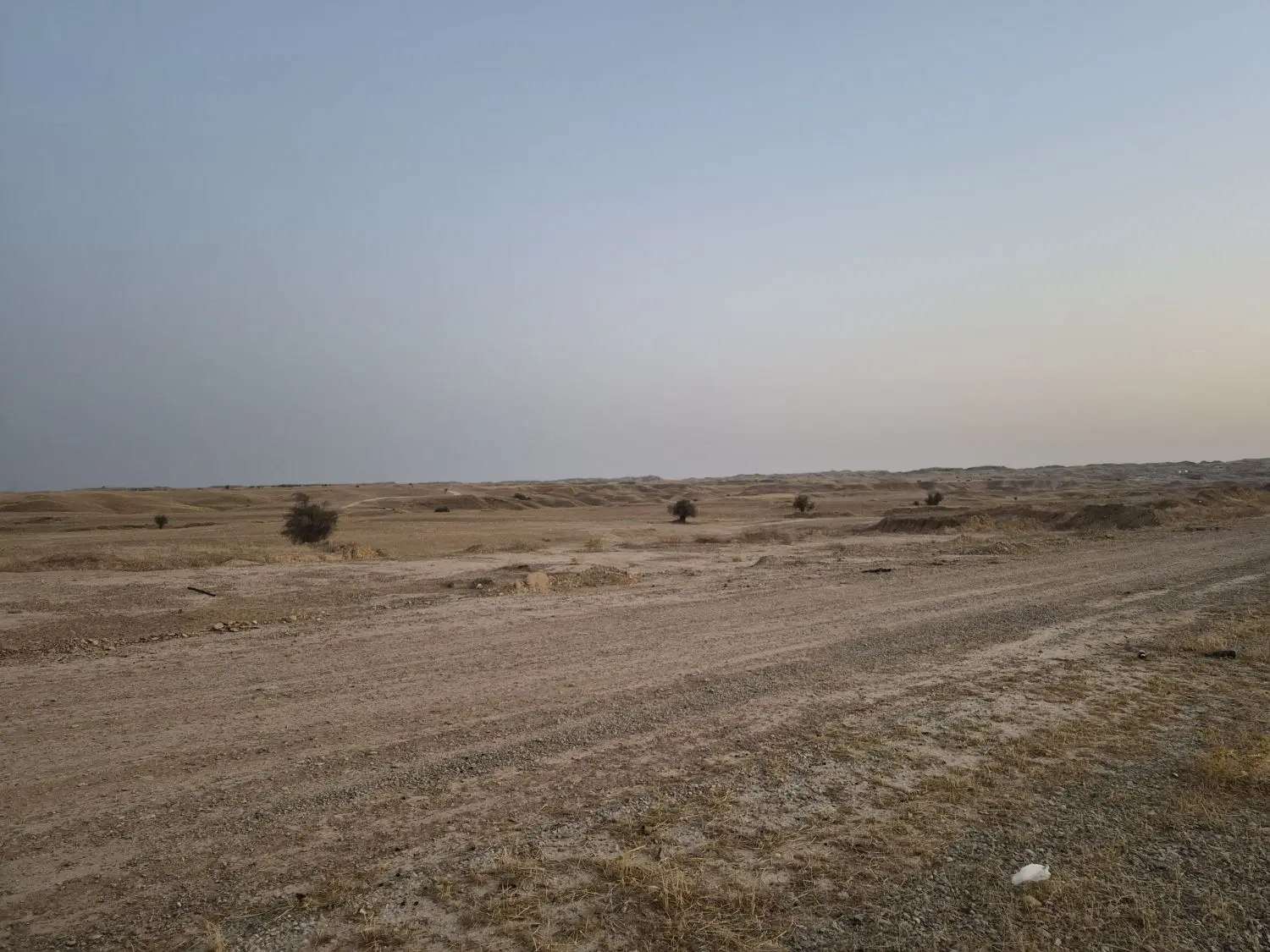 زمینهای مرشد بهبهانی