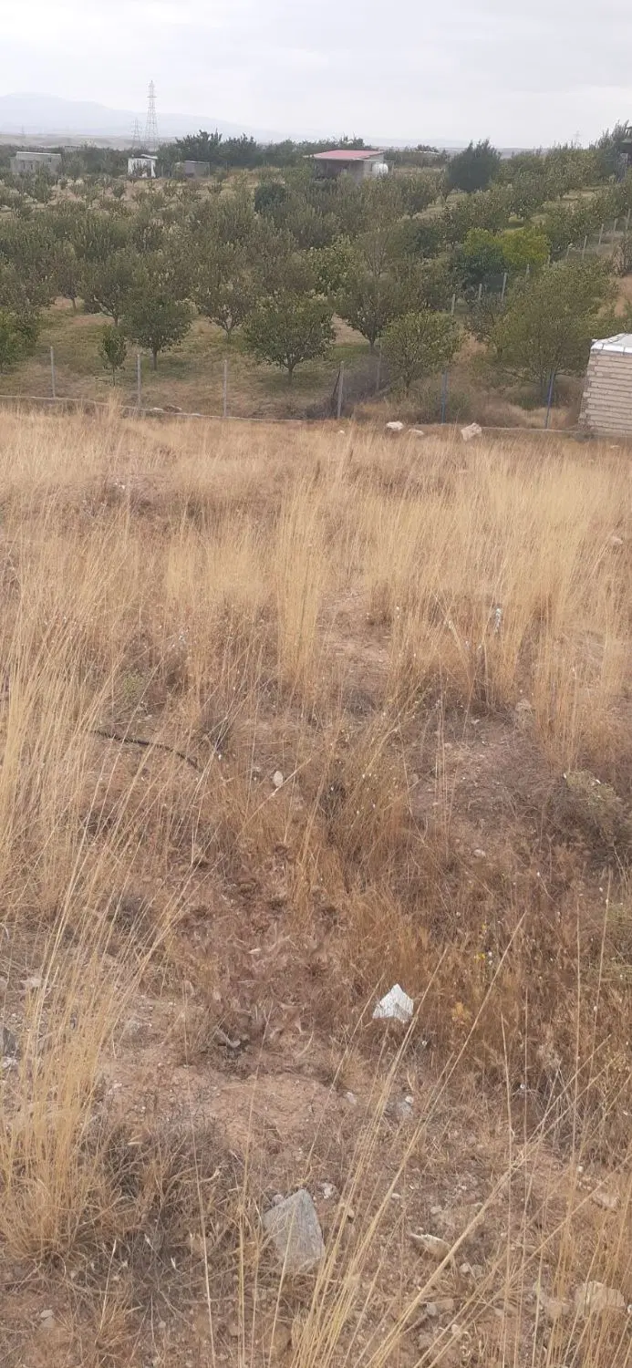 زمین باغی پسته بیگ