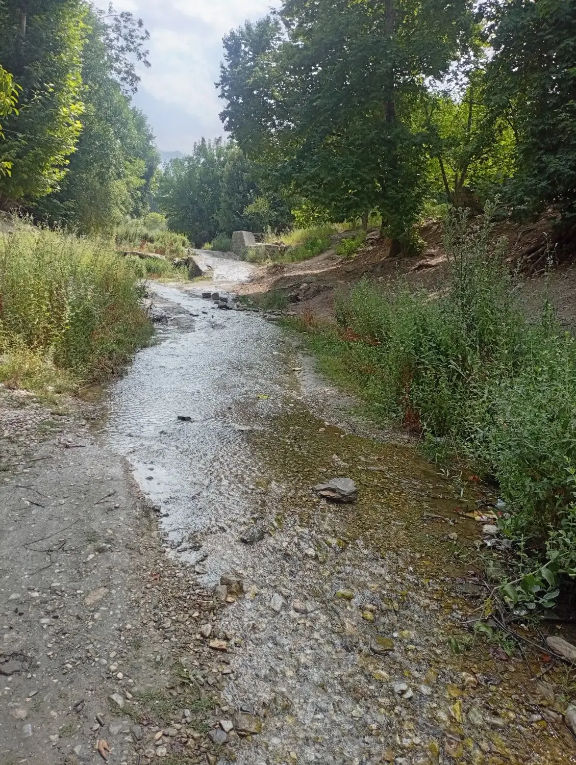 زمین بنیادی کران