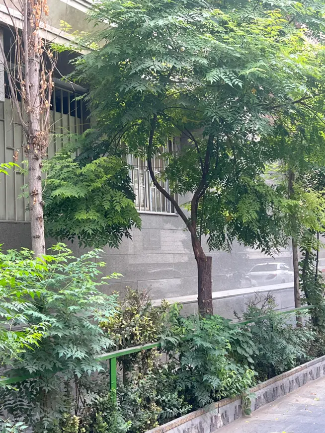 اجاره اپارتمان